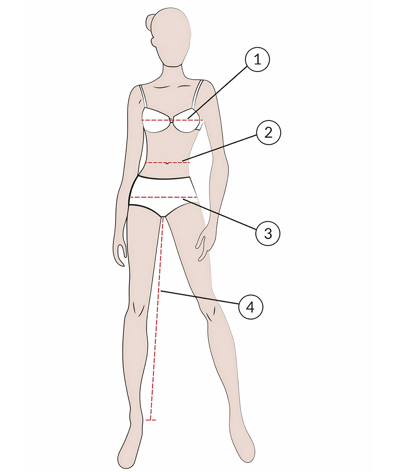 Silhouette pour femmes avec numérotation pour une mesure correcte.